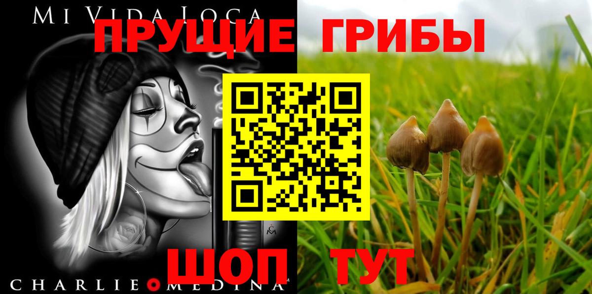 Галлюциногенные грибы прущие грибы  Вход с VPN  Жуковский 